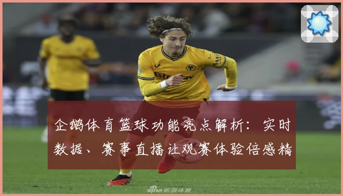 企鹅体育篮球功能亮点解析:实时数据、赛事直播让观赛体验倍感精彩