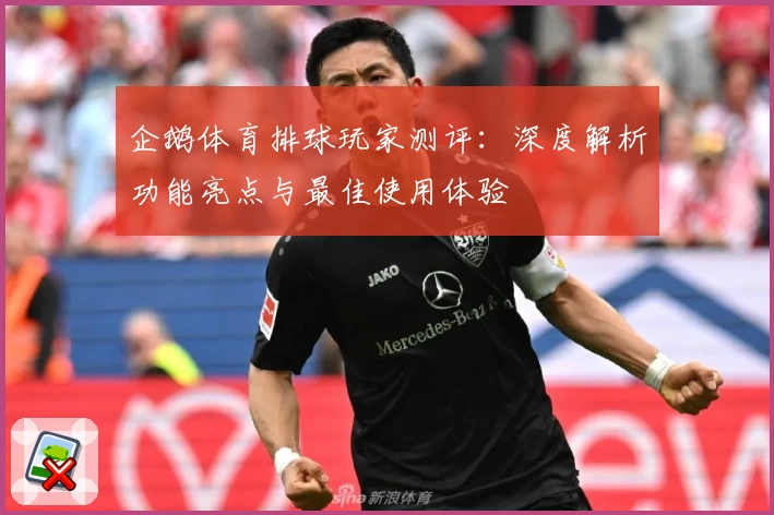 企鹅体育排球玩家测评：深度解析功能亮点与最佳使用体验