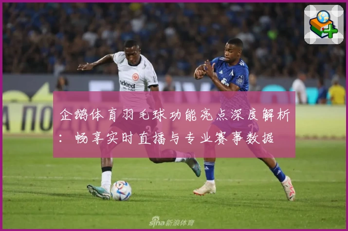 企鹅体育羽毛球功能亮点深度解析：畅享实时直播与专业赛事数据